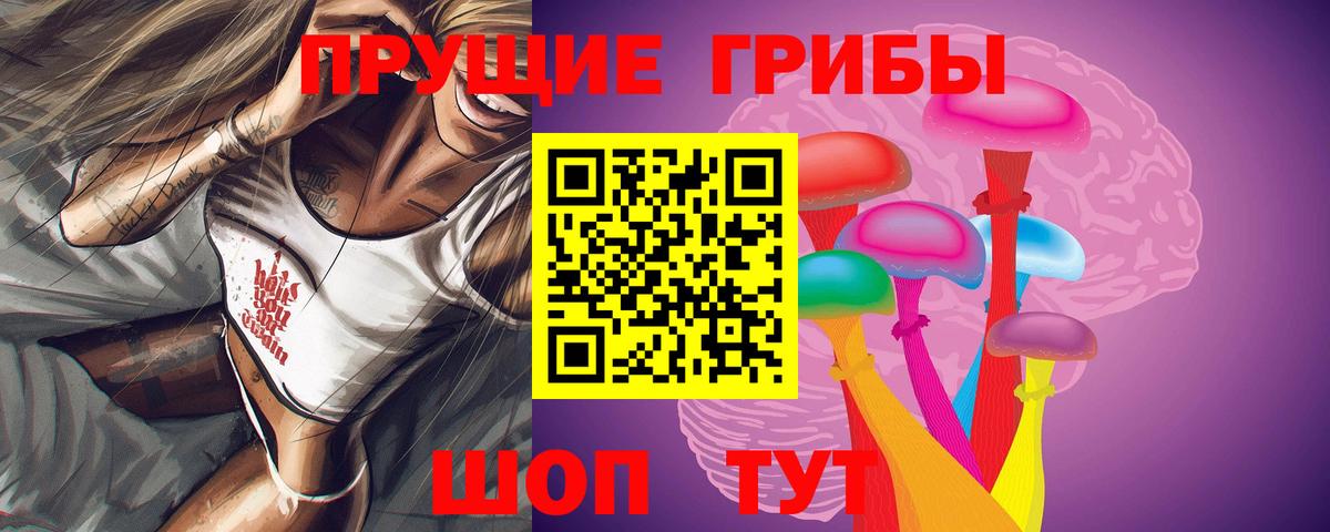 Галлюциногенные грибы прущие грибы Минеральные Воды